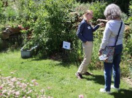 Wertvolle Einblicke in naturnahes Gärtnern im Odenwaldkreis