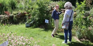 Wertvolle Einblicke in naturnahes Gärtnern im Odenwaldkreis