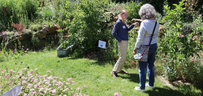 foto-nachbericht-aktionstag-gartenvielfalt