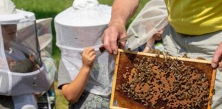 Sommer in Darmstadt-Dieburg: Rausgehen, entdecken und genießen