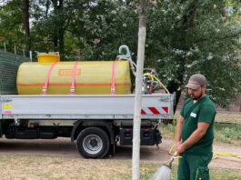 Hitzewelle stellt Frankfurts Stadtgrün vor große Herausforderungen