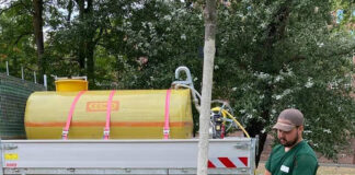 Hitzewelle stellt Frankfurts Stadtgrün vor große Herausforderungen