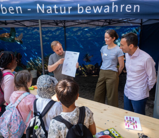 Ferienstart zwischen Flamingos und Pinguinen im Zoo Frankfurt