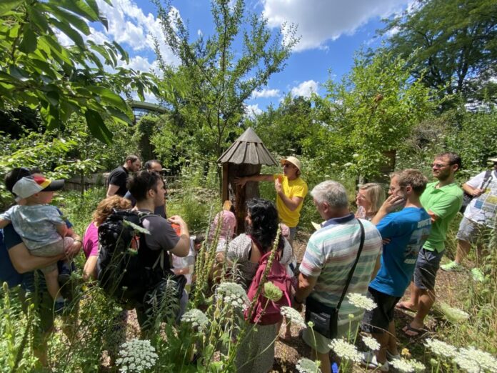 Führung-zum-Bienenbaum-im-Zoo-Frankfurt-Copyright-Bienenbotschaft