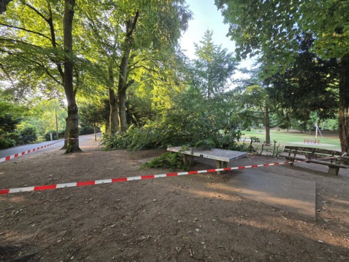 Gruenastbruch-im-Seehofpark-Copyright-Gruenflaechenamt