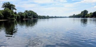 Sommerliche Temperaturen locken ans Wasser