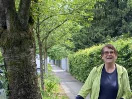 Blühende Oasen am Gehwegrand in Offenbach