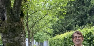 Blühende Oasen am Gehwegrand in Offenbach