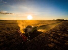 Sommerzeit ist Erntezeit Was Autofahrer nun auf den Straßen beachten sollten