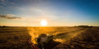 Sommerzeit ist Erntezeit Was Autofahrer nun auf den Straßen beachten sollten