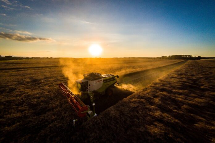 Rapsernte auf einem Feld bei Ermstedt , Agrar GmbH & Co.KG Ermstedt