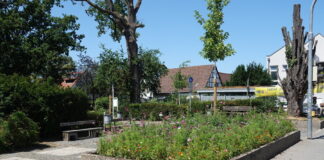 In Groß-Gerau entstehen neue Blühflächen