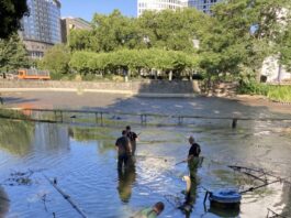 Weiher in der Ludwig-Erhard-Anlage: Grünflächenamt Frankfurt informiert über aktuelle Maßnahmen