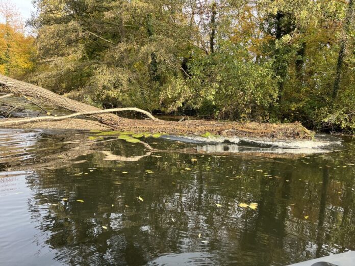 Moorteich_Bürgerpark_Quelle_Grünflächenamt