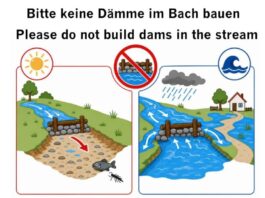 Darmstadt: Wasser im Ruthsenbach frei strömen lassen