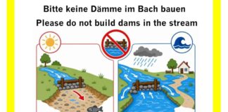Darmstadt: Wasser im Ruthsenbach frei strömen lassen