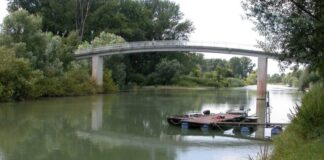 Riedstadt rüstet sich für den RhineCleanUp-Tag 2026