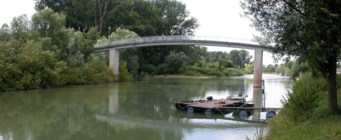 csm_ua_rhinecleanup_bruecke_kuehkopf_erfelden_d9974178bb