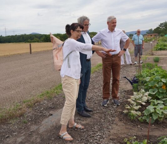 Nachhaltig gärtnern auf eigener Parzelle in Einhausen