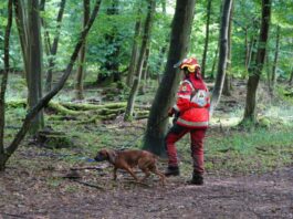 Jägertag des Jagdklubs St. Hubertus Bergstraße: Ein Blick hinter die Kulissen der ASP-Bekämpfung