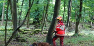 Jägertag des Jagdklubs St. Hubertus Bergstraße: Ein Blick hinter die Kulissen der ASP-Bekämpfung