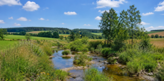 Was der LaDaDi für naturnahe Bäche tut
