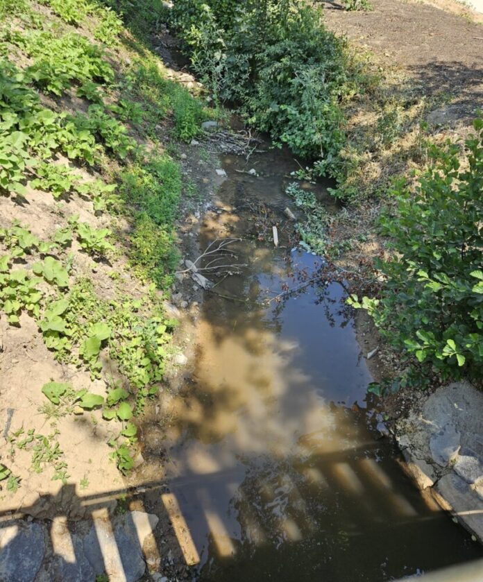 260709-ohlebachgu-mm