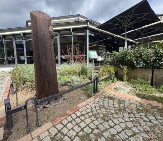 Frankfurt: Baumskulptur erinnert an vergiftete Platanen