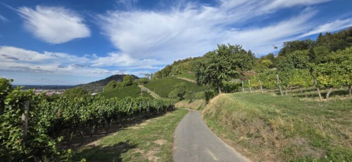 pm-263-wanderung-klima-trifft-artenvielfalt