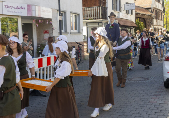 rz37Kerbkuchen1
