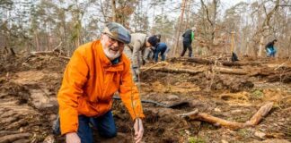 Baumpflanzaktion im Königstädter Wald: Jeder kann zum Spaten greifen