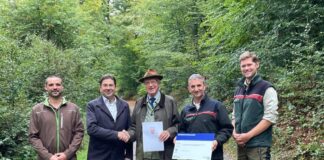 Kalkungsmaßnahme in Gammelsbach: 196.000 Euro für den Wald