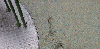 Erneut Vandalismus am Friedrichsweiher in Offenbach