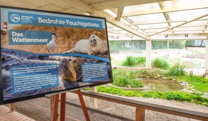 csm_Präsentation_Watvogelhalle_20261021_1_Quelle_Reinhard_Mink_b13656bd45
