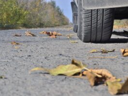 Rutschgefahr im Herbst: Mit diesen Tipps bleiben die Straßen sicher
