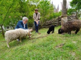 Bergsträßer Jahr der Streuobstwiese startet