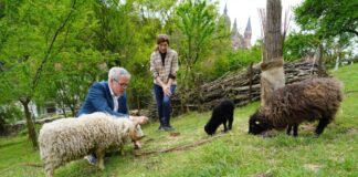 Bergsträßer Jahr der Streuobstwiese startet
