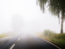 Voll vernebelt: ADAC gibt Tipps zum sicheren Fahren im Herbst