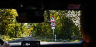 Zeitumstellung erhöht Risiko für Wildunfälle